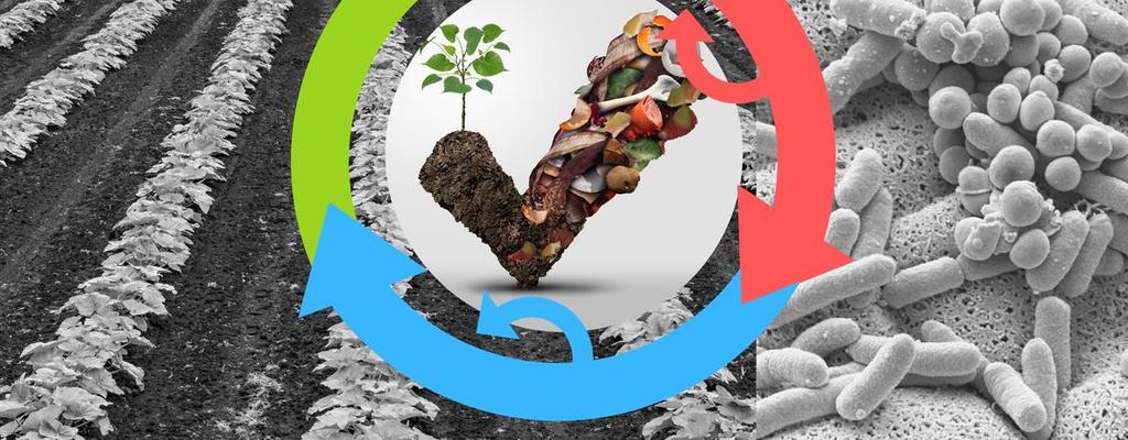 Turning food waste back into food