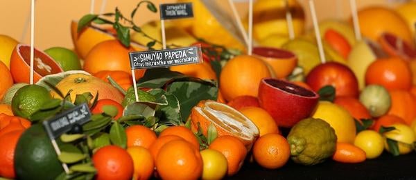 Giveaudan Citrus Variety Collection sampling