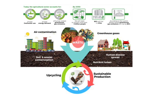 Waste cycle visual