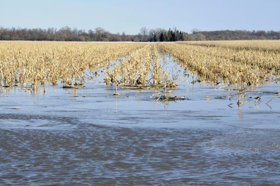 Flash flooding article.jpg 