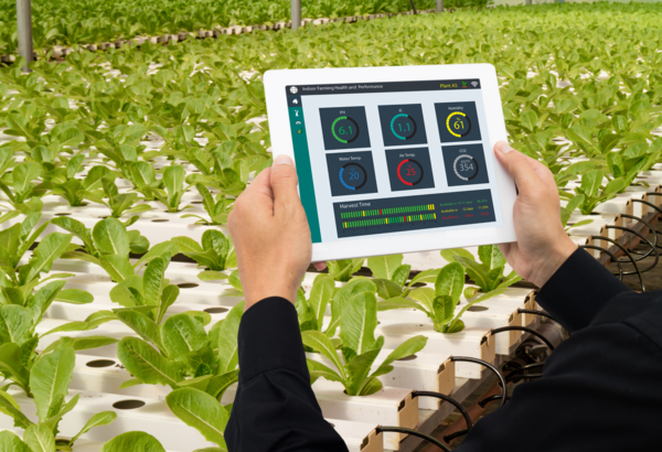 inside greenhouse with control screen