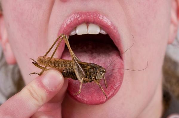 women eating bug