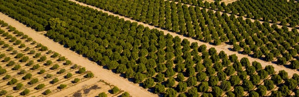UCR Center for Agriculture, Food, and the Environment (CAFÉ)