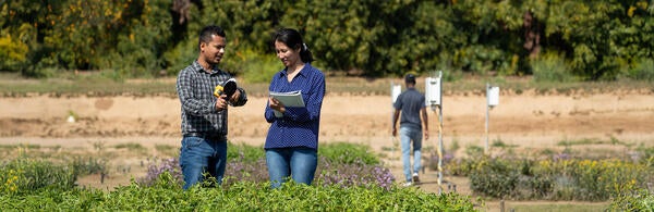 UCR Center for Agriculture, Food, and the Environment (CAFÉ)
