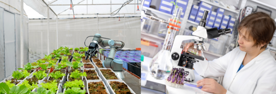 Robot_greenhouse & lab with microscope and researcher .png 
