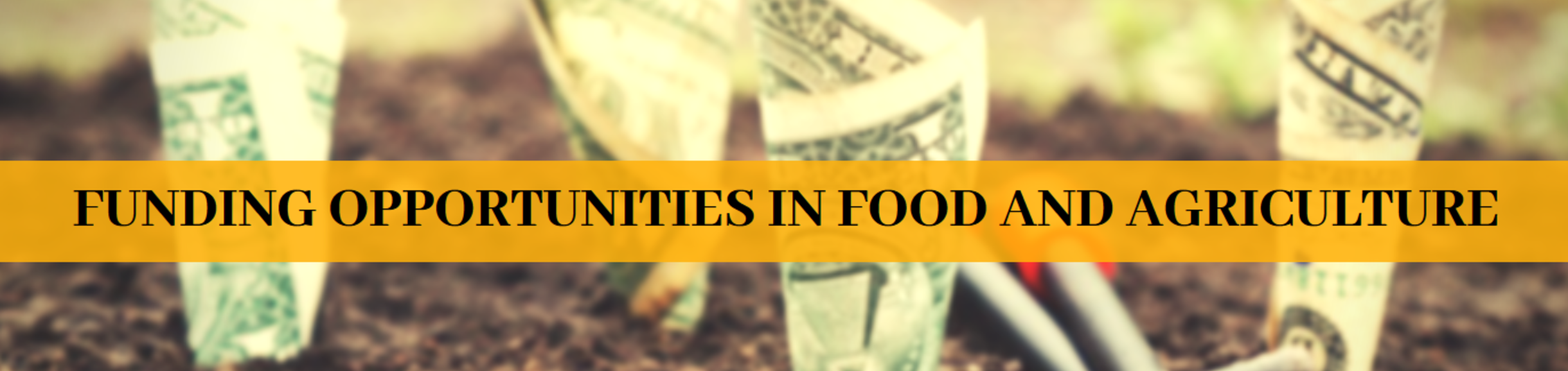 FUNDING OPP